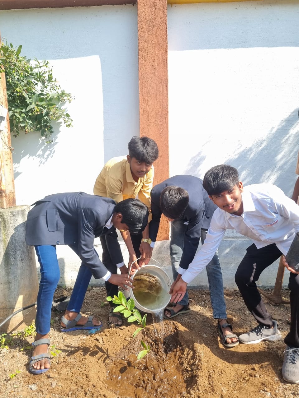 TREE PLANTATION