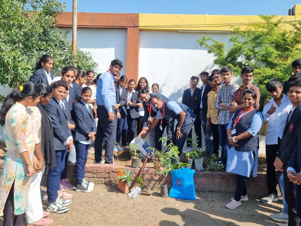 TREE PLANTATION